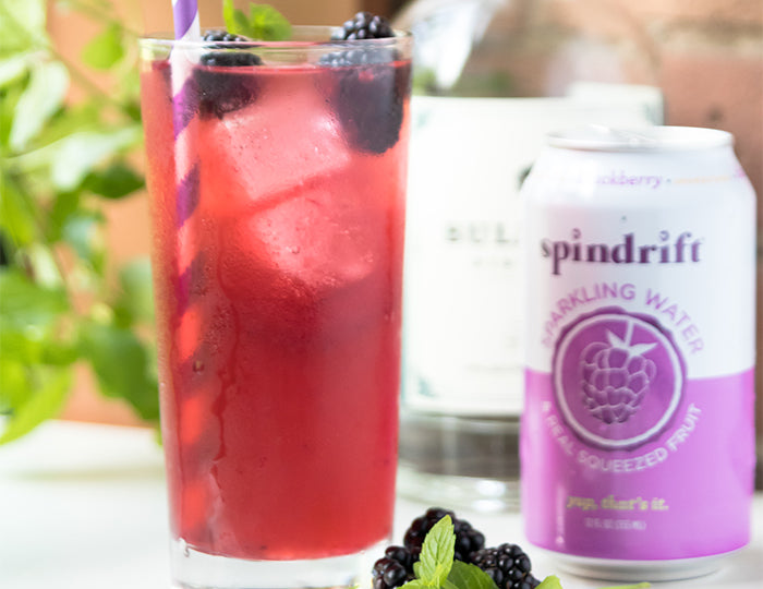 Blackberry Gin Fizz Recipe