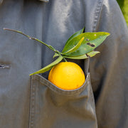 Spindrift Chore Coat